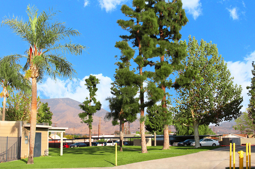 This Exteriors 1 photo can be viewed in person at the Village Square Apartments, so make a reservation and stop in today.